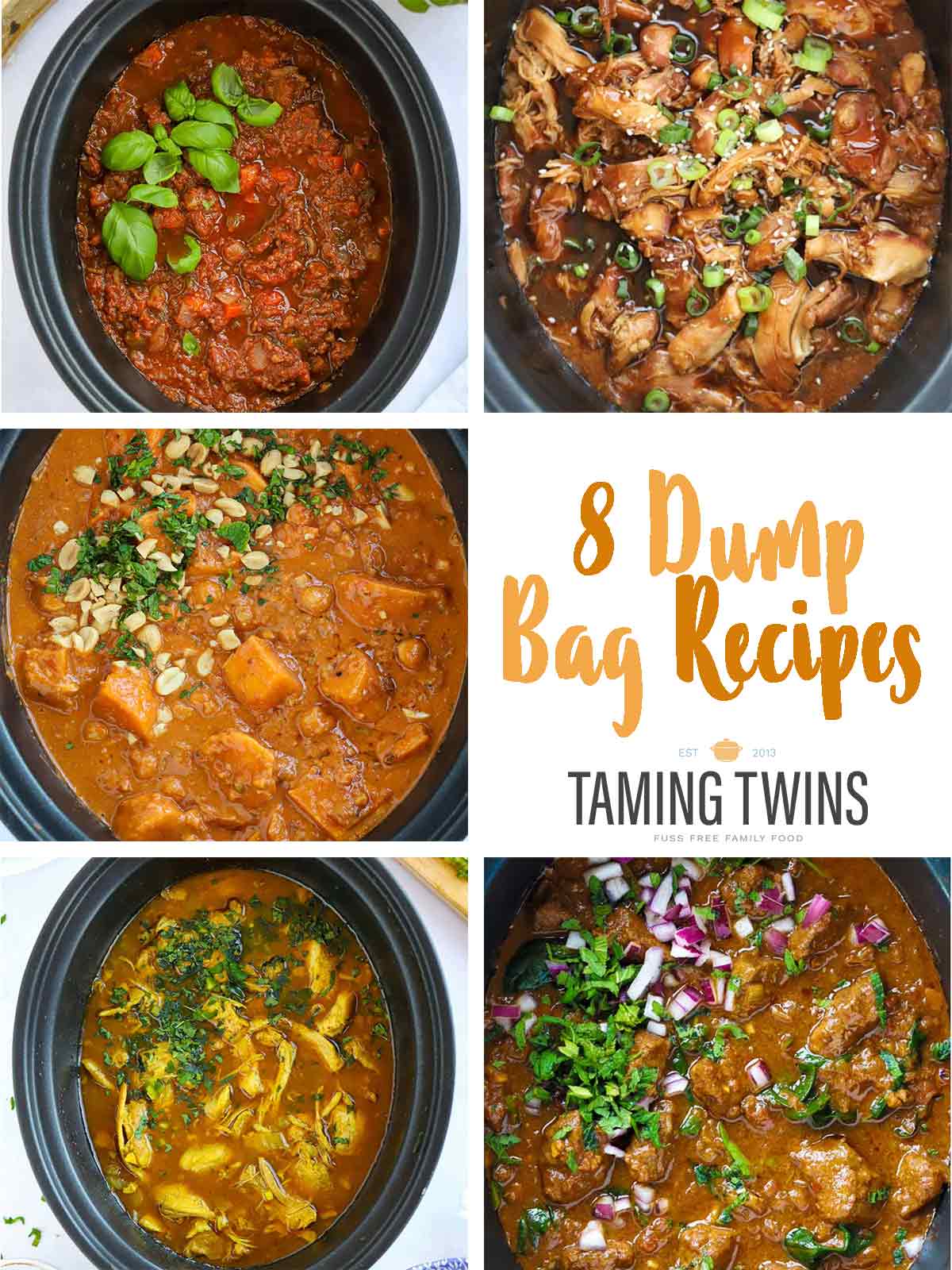 6 CHEAP & STUNNING CROCKPOT DINNERS, The EASIEST Dump and Go Slow Cooker  Recipes!